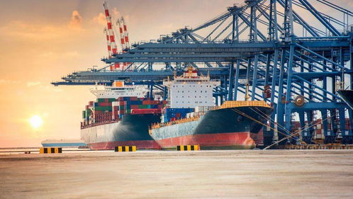 國際物流saas服務(wù)商融資兩輪共數(shù)千萬 服務(wù)客戶達(dá)百萬 營收同比呈數(shù)倍增長