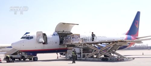 我國航空物流市場需求保持高位增長 國際航線網(wǎng)絡(luò)不斷密織