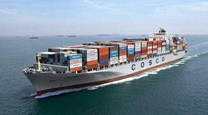 國際貨運與國際物流 全球經(jīng)濟一體化的血脈