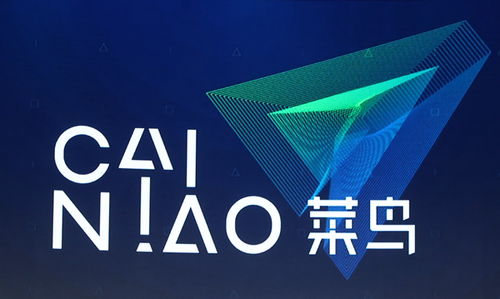 小商品出海自由行 菜鳥(niǎo)國(guó)際開(kāi)通泰國(guó)海運(yùn)電商專(zhuān)線(xiàn)，重塑?chē)?guó)際物流新格局